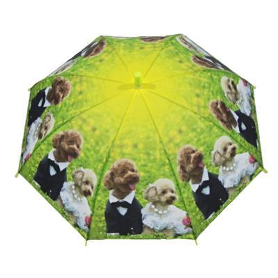 Dětský vystřelovací deštník Oliver zelený - 1